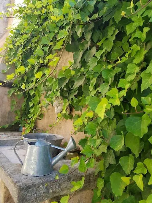 Oda ve Kahvaltı Chambre D'Hote Les Oulies Bédoin