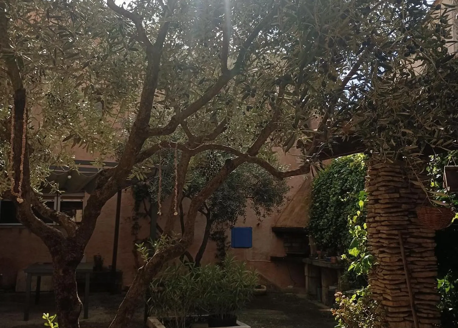 Chambre D'Hote Les Oulies Bédoin Oda ve Kahvaltı